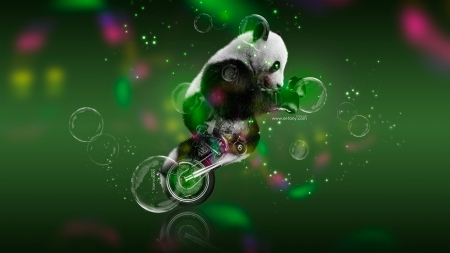 :) - bear, luminos, green, panda, tony kokhan, motorcycle, fantasy