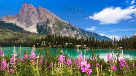 Flowers at the lake - hills, beautiful, spring, reflection, mountain, flowers, view, lake, emerald, sky