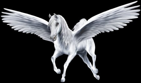 Pegasus - wings, feather, white, horse, pegasus, fantasy, black, luminos