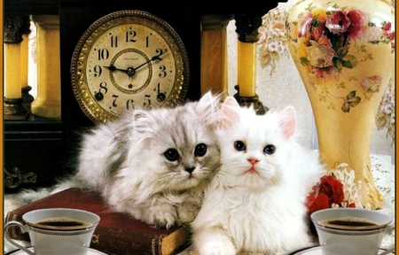 Cats - love, coffee, cat, animal, clock