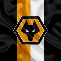 Wolves FC Flag