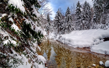 Clear River In The Forest - river, trees, winter, nature, snow, forest