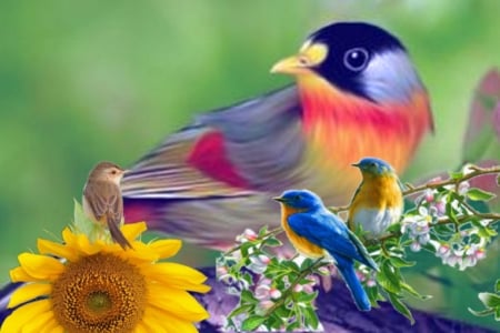 Welcome Spring - birds, nature, paintings, beauty, spring, cool, art