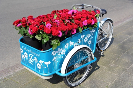 The Flower Cart - bicycle, wheels, gerbera, roses