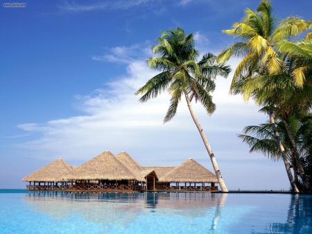 Beauty in Maldives - blue, cluds, palm trees, beauty, ocean, hut, sky