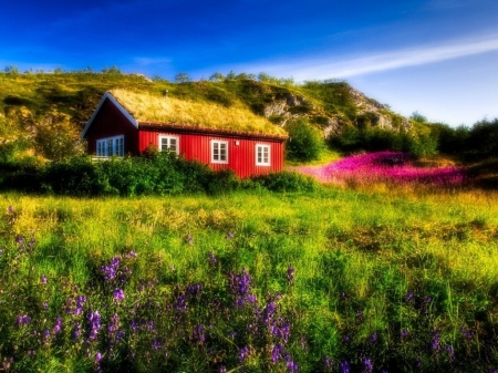 Red House on Hillside - clouds, trees, hills, nature, red, houses, peaceful, sky