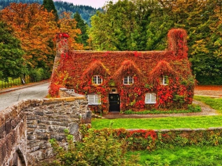 Autumn Houses,England