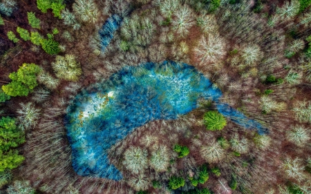 Lake view from the top - view from the top, summer, blue, landscape, forest, green, lake, texture, vara