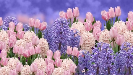 Spring Floral Background Wallpaper –