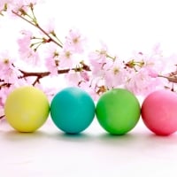 Spring Blossoms & Easter Eggs