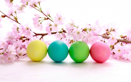 Spring Blossoms & Easter Eggs - eggs, branches, blossoms, easter eggs, branch, easter, flowers, spring