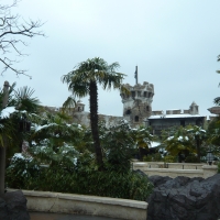 palmiers sous la neige