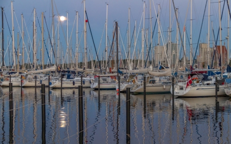 Marina at Moonlight - moon, sailboats, marina, night