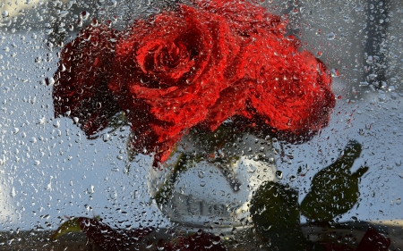 Still Life - roses, drops, rain, vase