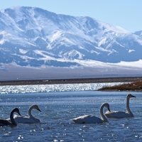 Sayram Lake,China