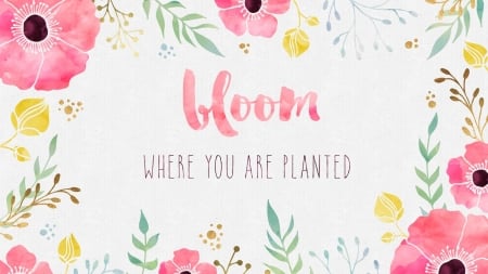 :) - white, card, flower, pink, quote, word, watercolor