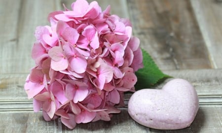 Happy Valentine's Day! - card, flower, pink, valentine, heart, stone, hydrangea