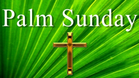 Palm Sunday - cross, sunday, easter, palm, palm sunday