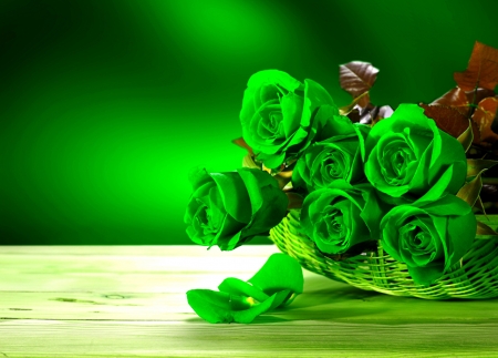 Green Roses - Petals, Basket, Close up, Roses