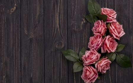 Happy Day! - wood, rose, card, flower, pink