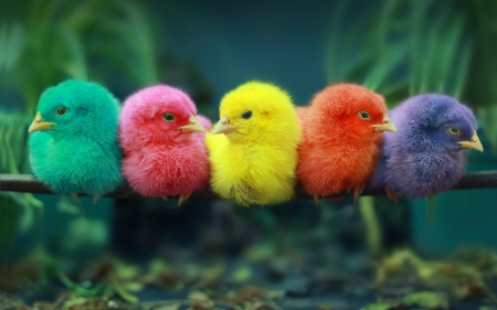 Easter Chicks - chickens, branch, yellow, pink, orange, Easter, colorful, holiday, purple, green, chicks