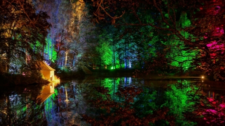 Colorful Lights in the Forest - trees, water, Nature, lights, lake, forest, reflection, darkness