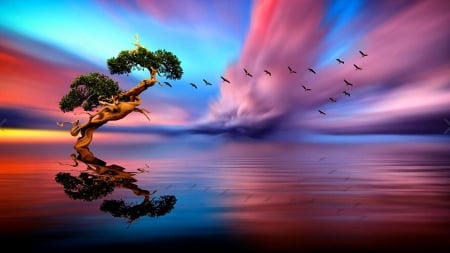 Birds in Flight Above the Lake - clouds, birds, sunset, nature, flight, lake, reflection, tree