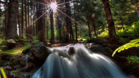 Forest Waterfalls - trees, nature, waterfall, rays, forest, light, sun