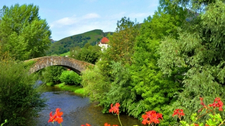 Bridge Over the Calm Lake - calm, trees, nature, lake, forest, bridge