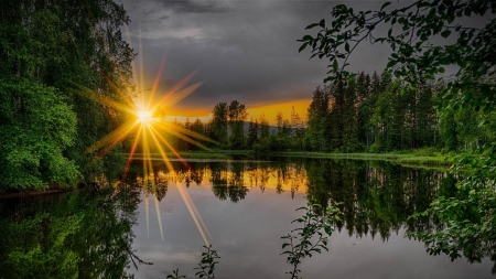 Summer Sunset - river, trees, sunset, nature, rays, summer, green, forest