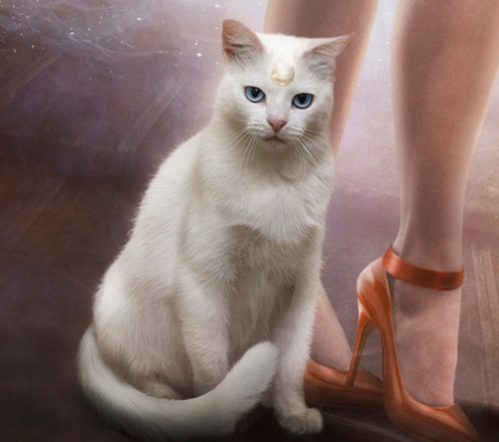 Artemis - cat, artemis, maryneim, stiletto, pisica, fantasy, shoe, sailor moon, white, luminos, orange, anime, manga