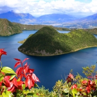 Fresh Green Island
