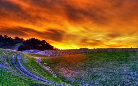 Under the Burning Sky - nature, sky, trees, clouds, field, path