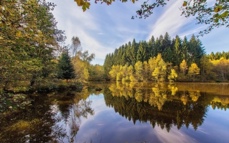 Reflection in Water - nature, sky, lake, landscape, trees, forest, reflection, river