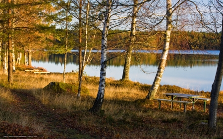 By the Lake - trees, autumn, benches, lake, birches