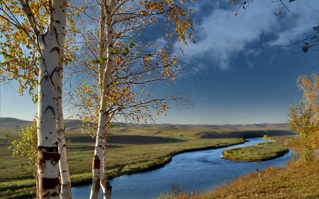 Landscape with Birches - autumn, birches, landscape, river