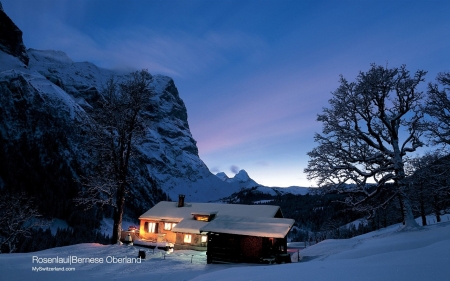 Cabin of the Swiss Alpine - trees, alps, nature, cabin, lights, snow, mountains, houses