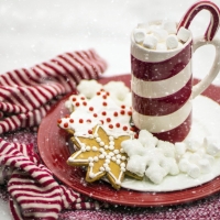 Gingerbread Cookies