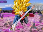 Dragon Ball - Dragonball & Anime Background Wallpapers on Desktop Nexus  (Image 1319690)