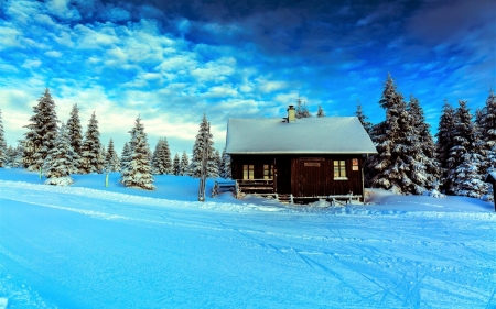 Winter House - nature, landscape, trees, forest, snow, winter, spruce, house