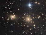 The Coma Cluster of Galaxies