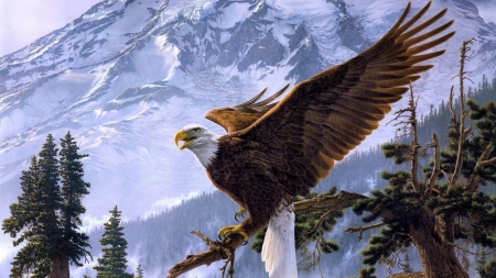 Bald Eagle - bird, trees, eagle, animal, mountains