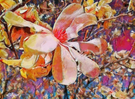 Magnolia - cehenot, spring, painting, art, pink, pictura, by cehenot, orange, magnolia, flower