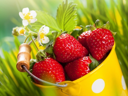 Fresh strawberries - green, summer, flowers, grassland