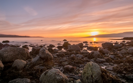 Rocks Beside Seashore - scenics, summer, sea, lunderston bay, dawn, shore, nature, sun, rocks