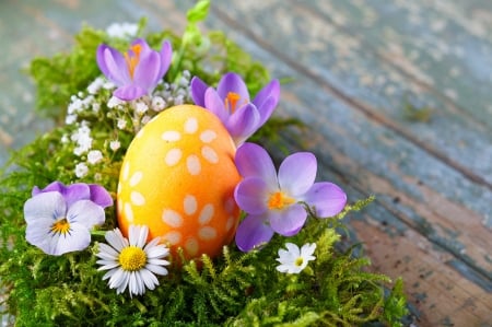 Happy Easter - egg, camomille, pansies, crocuses