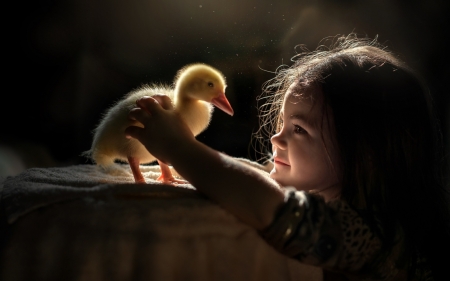 Girl with Chicken - child, chicken, girl, photography