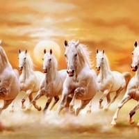 Seven Horses