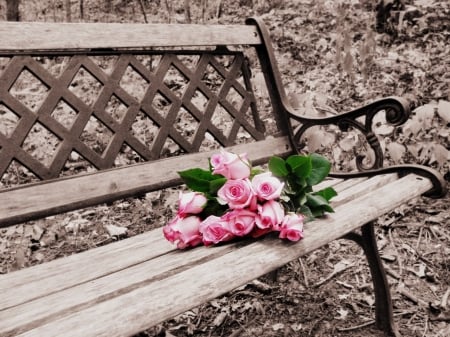 â™¥ - bench, abstract, roses, pink