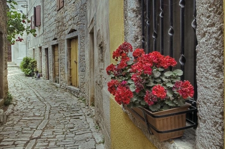 Cobblestone Street - beauty, houses, cool, photography, city, streets, flowers, stones